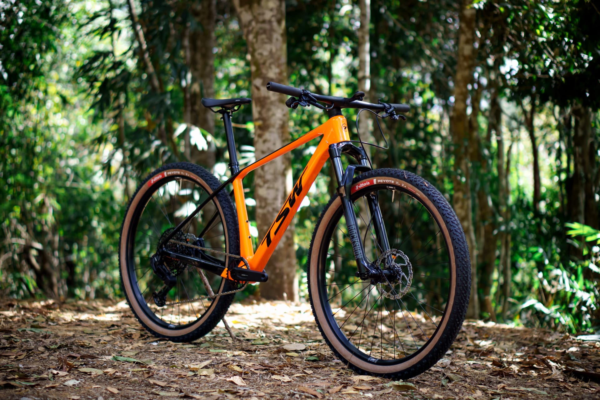 Mountain biking hero image