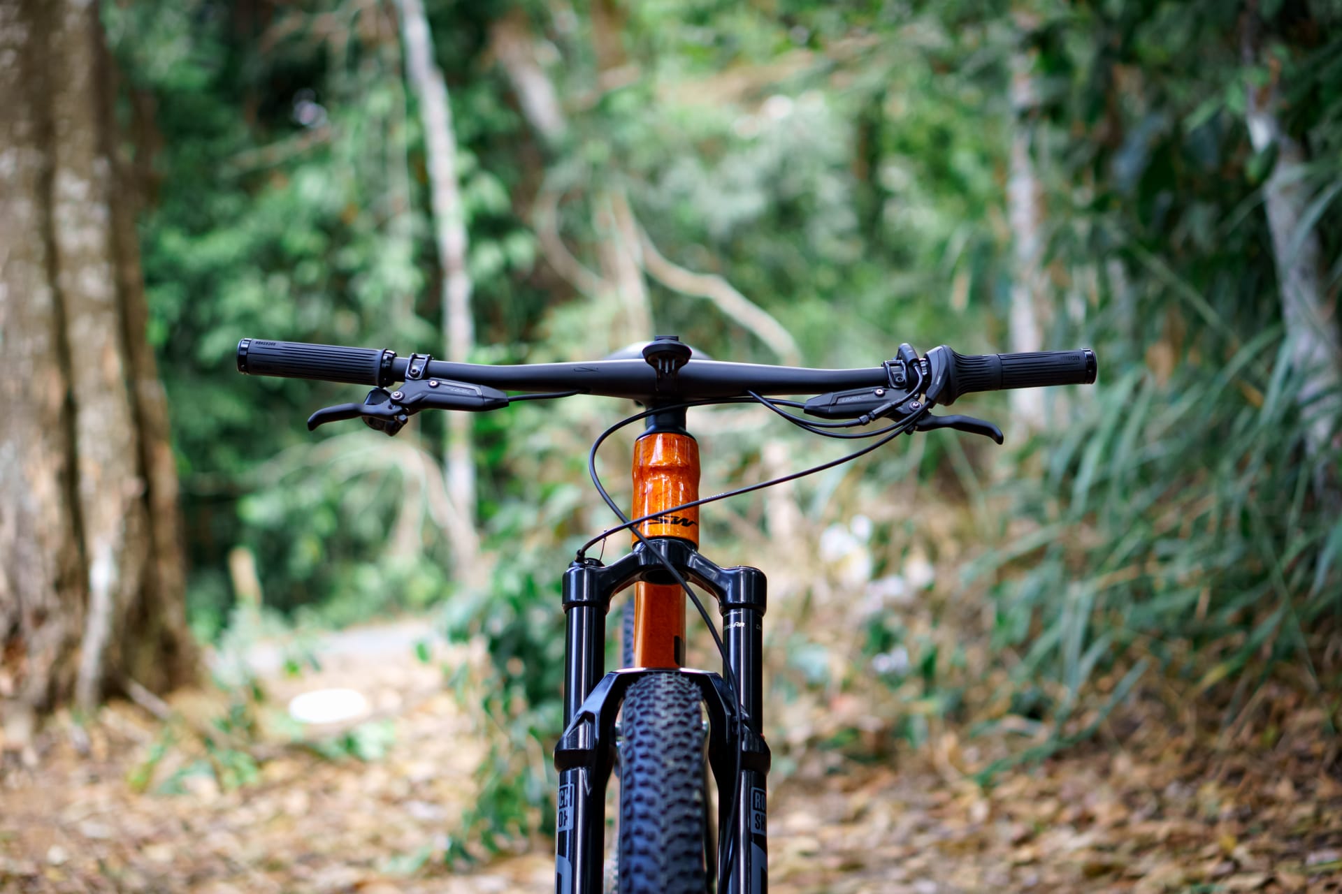 Mountain biking hero image